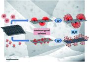 Colloidal stabilization of graphene sheets by ionizable amphiphilic block copolymers in various media