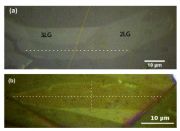 Embedded trilayer graphene flakes under tensile and compressive loading